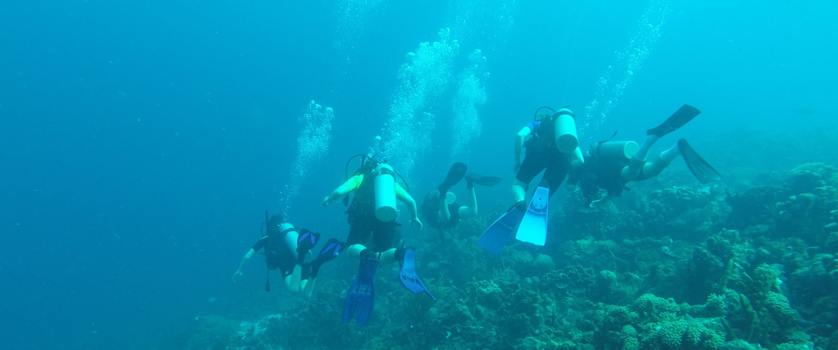 Students diving