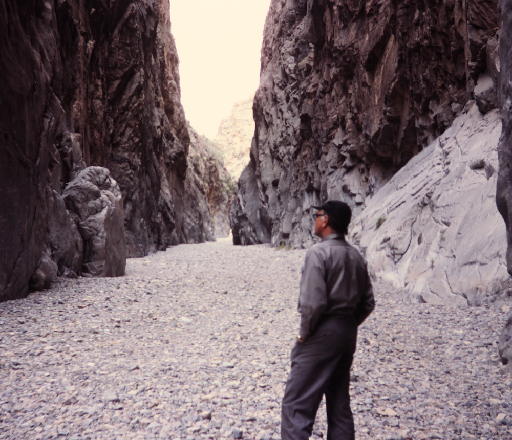 A picture of the Arrow Canyon where Prof Langenheim spend most of his field hours