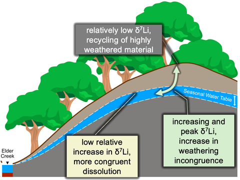 The water table and its interaction with Lithium