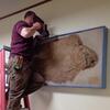 Fossil Remount